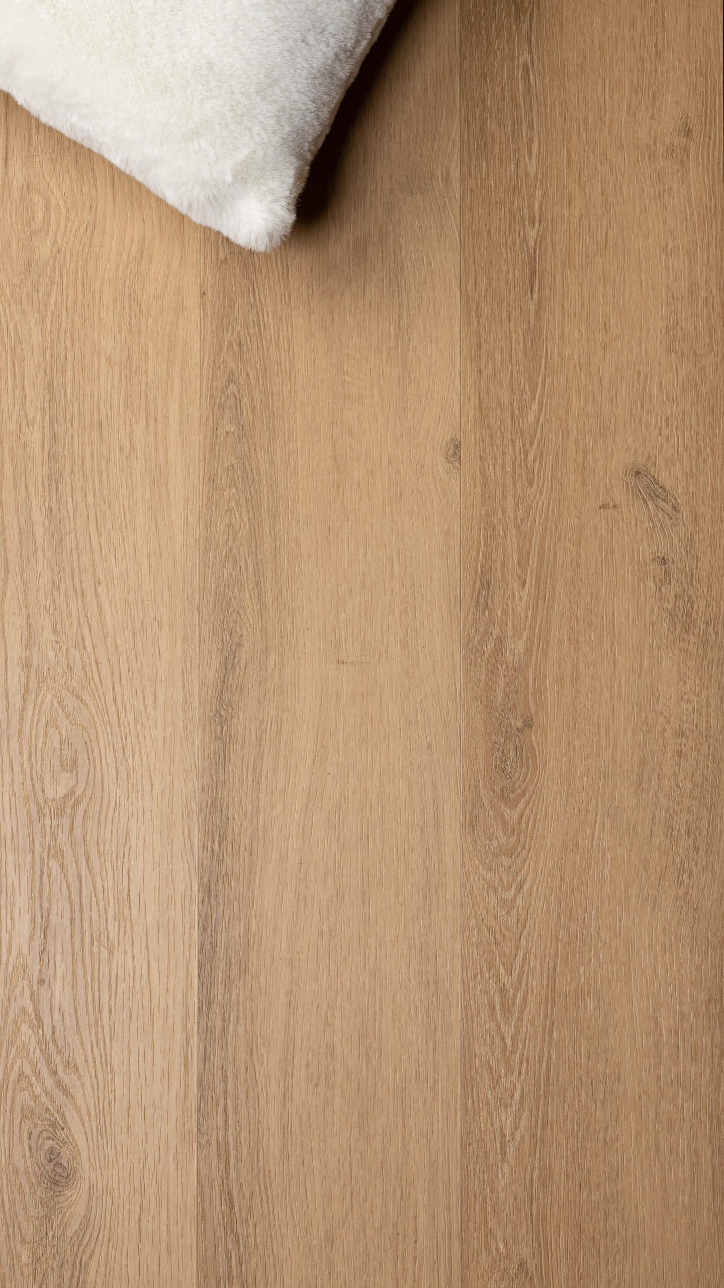 Cote Parquets Fogeo scaled