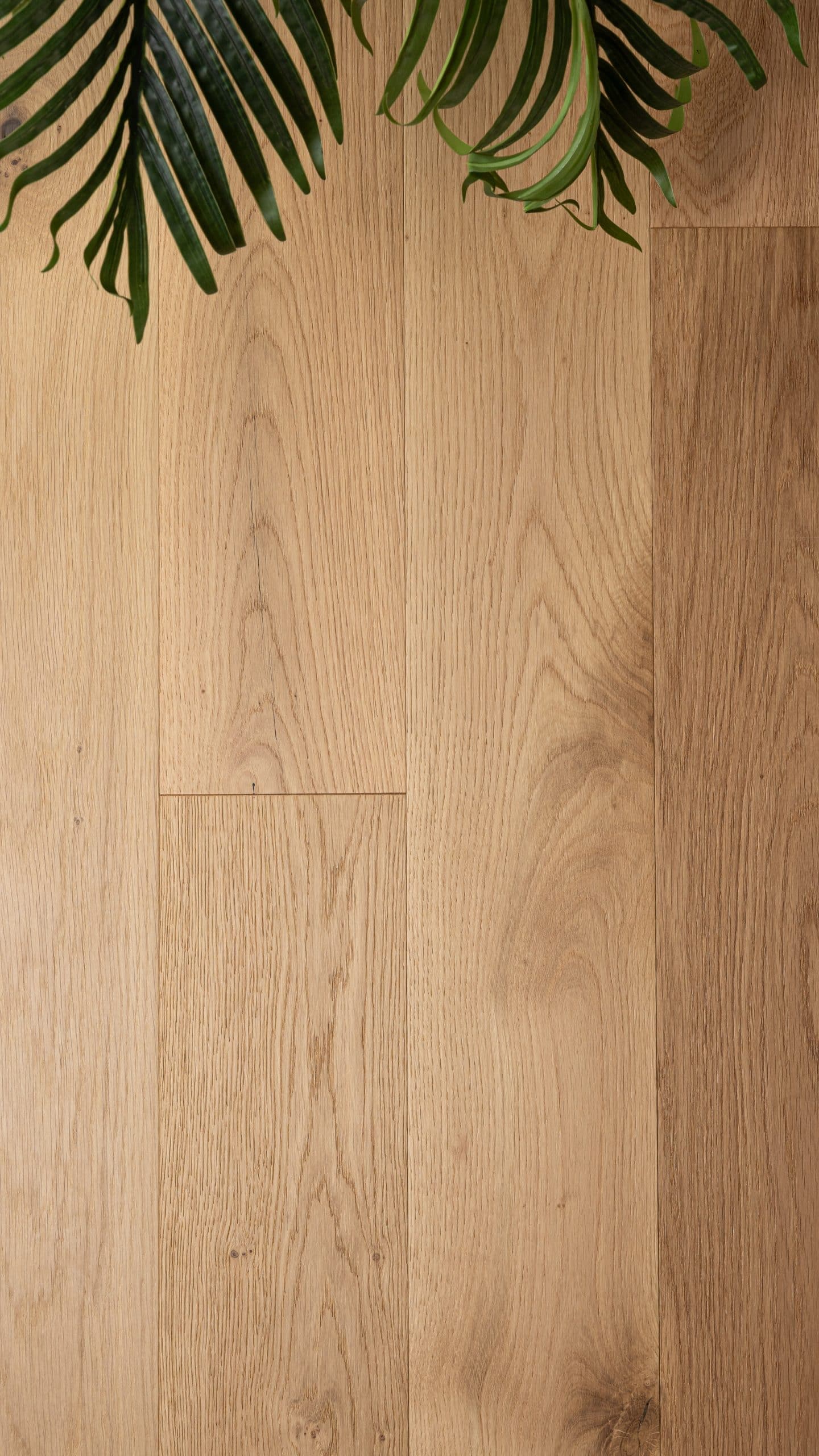 Cote Parquets TITAN 4 scaled